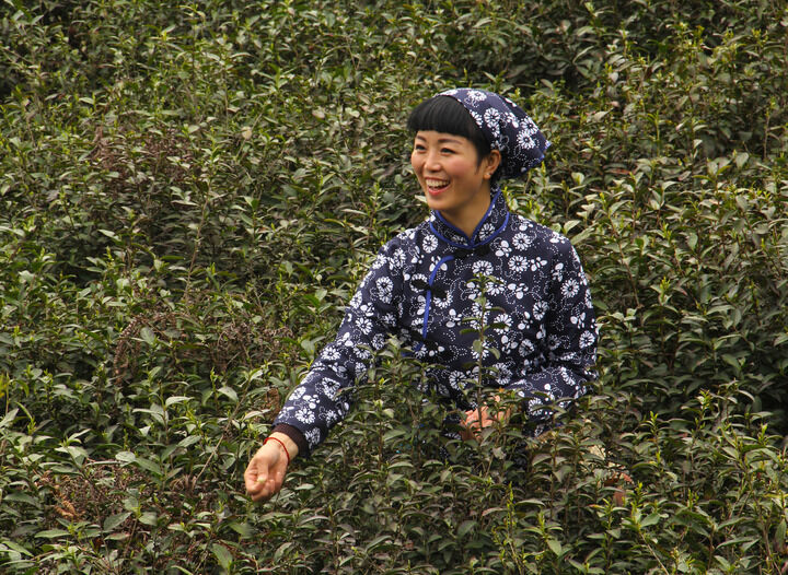 动漫9